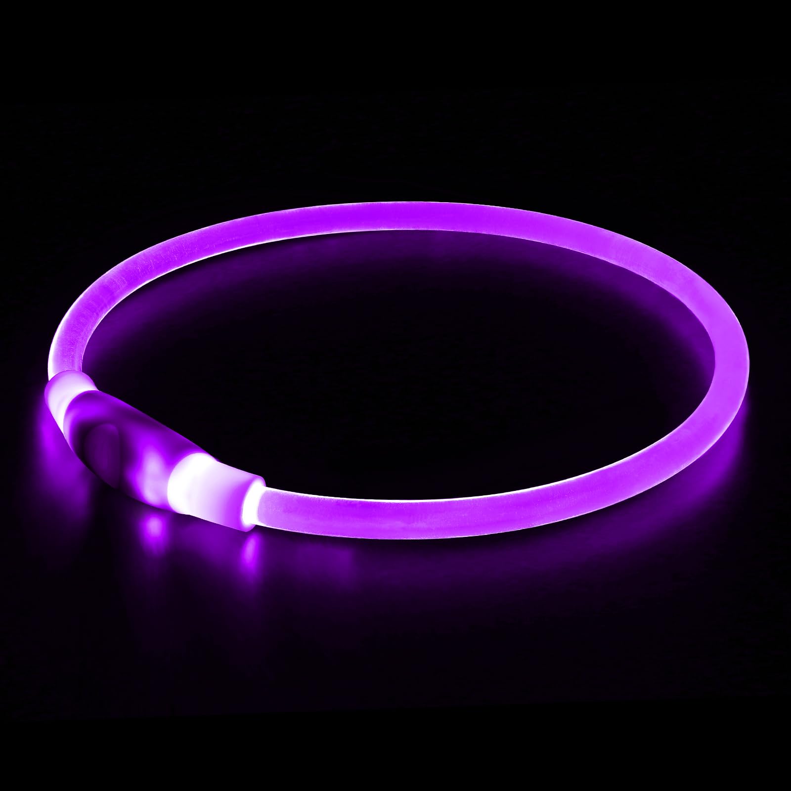Rechargeable LED Dog Safety Collar