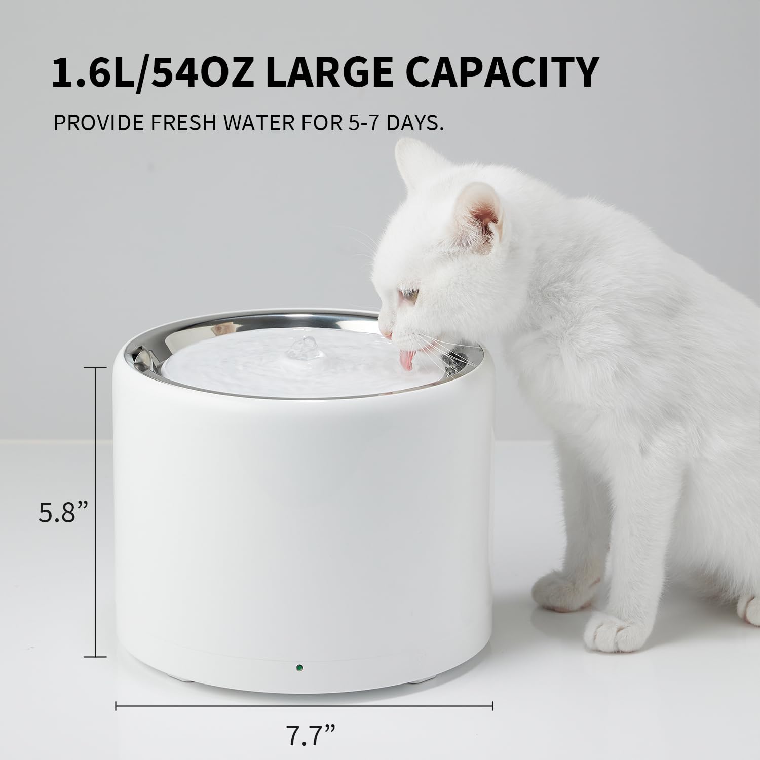 Stainless Steel Pet Water Fountain