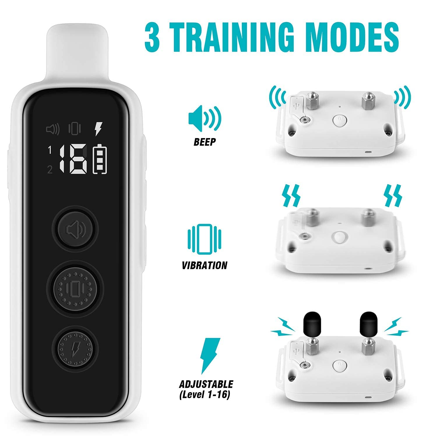 Remote Dog Training Collar for 2 Dogs