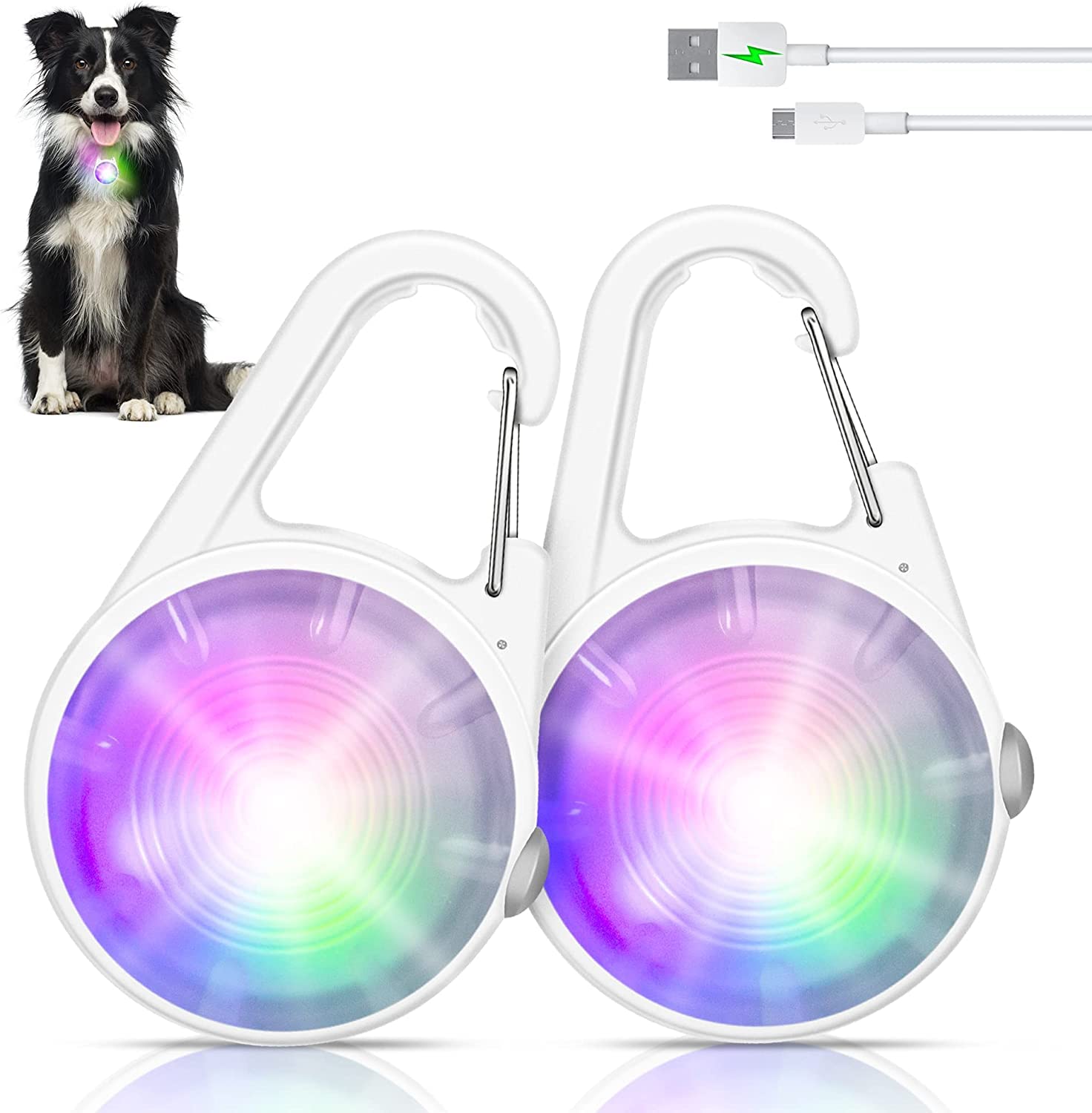2 Pack Dog Lights for Night Walking