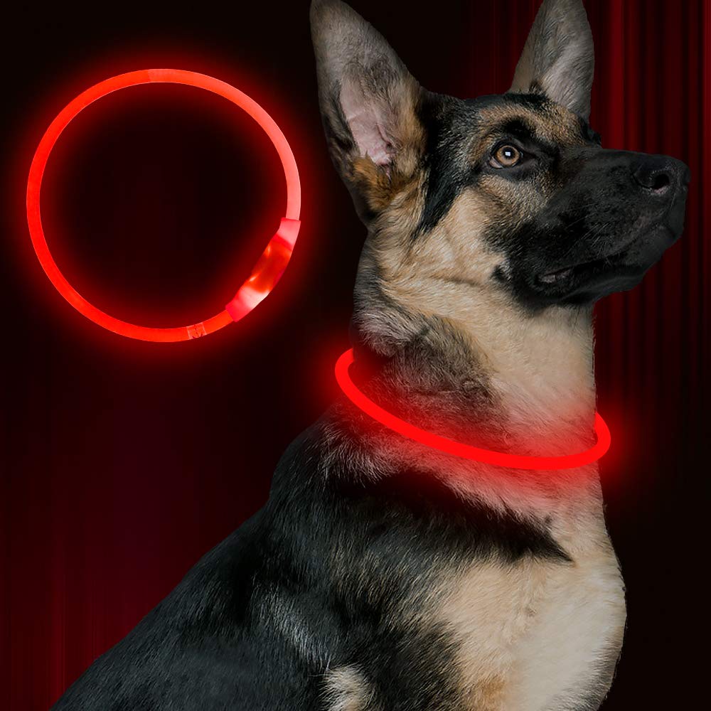 Rechargeable LED Dog Safety Collar