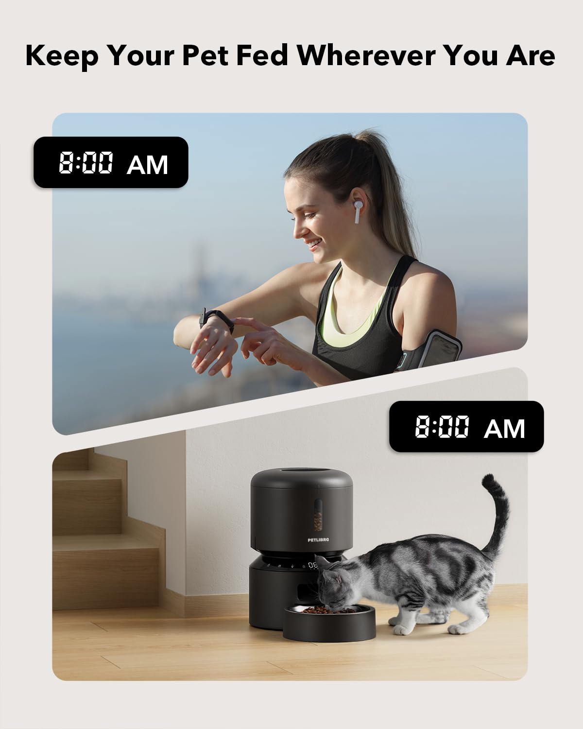 Automatic Pet Food Dispenser