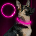 Rechargeable LED Dog Safety Collar