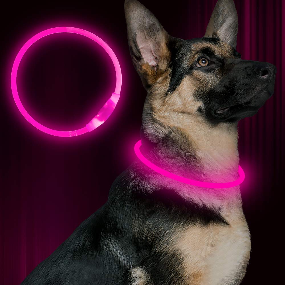 Rechargeable LED Dog Safety Collar