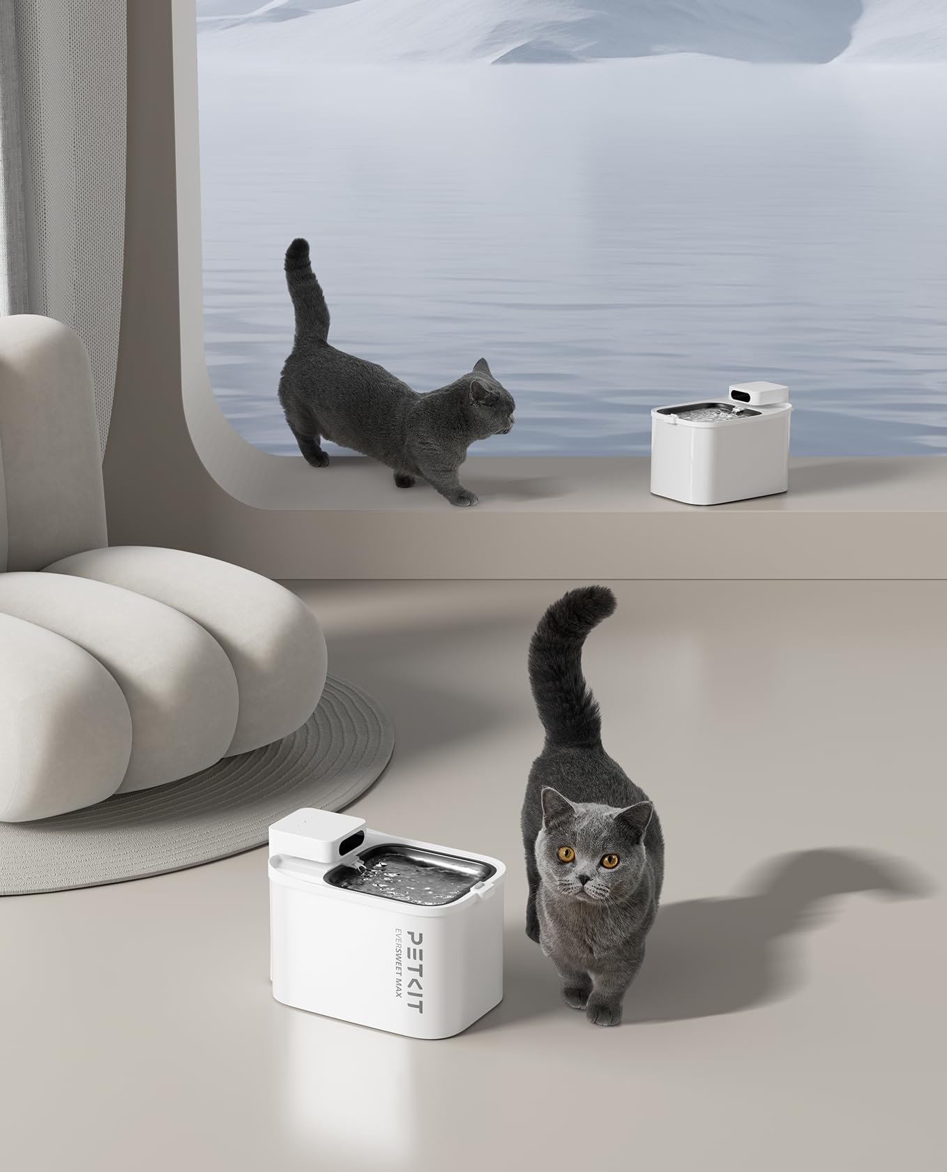 Cordless Pet Water Fountain 3L