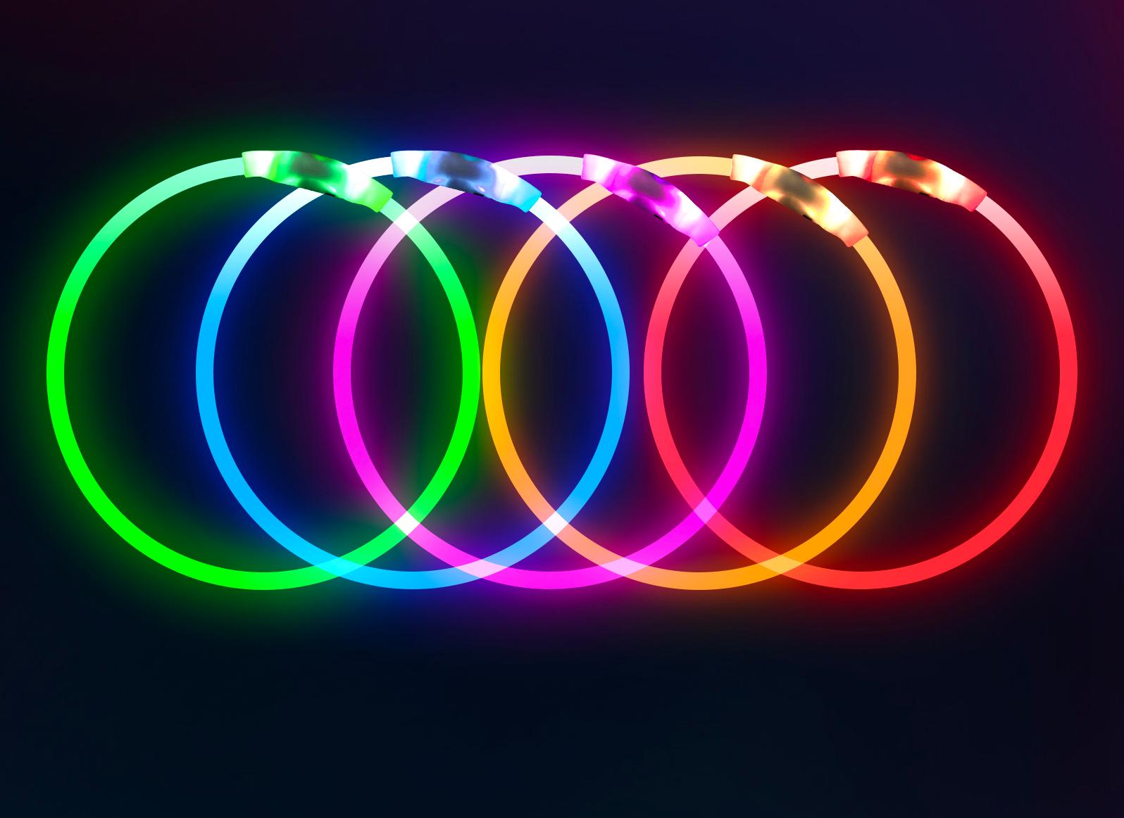 Rechargeable LED Dog Safety Collar