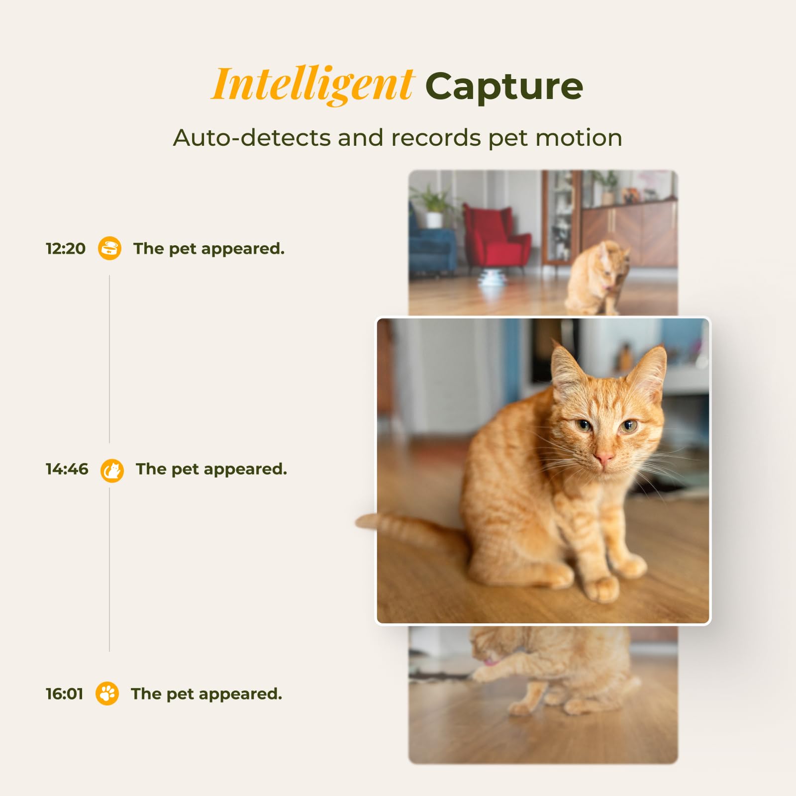 Smart Pet Feeder & Water Fountain 4L with Camera