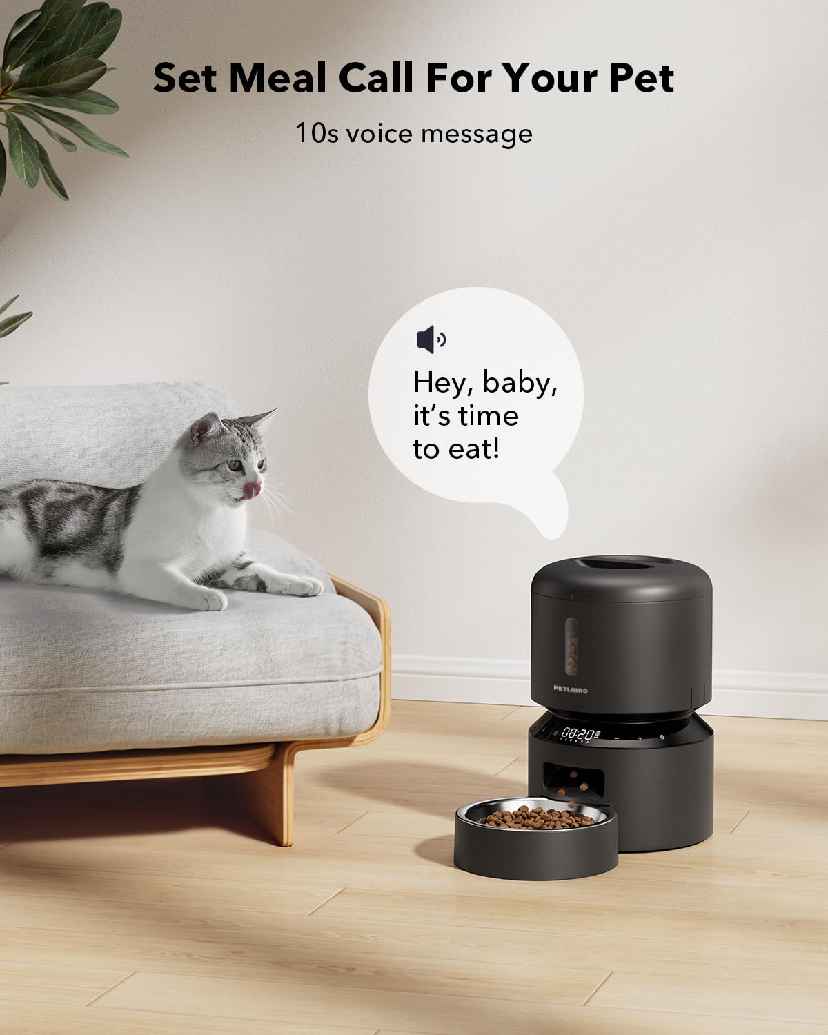 Automatic Pet Food Dispenser