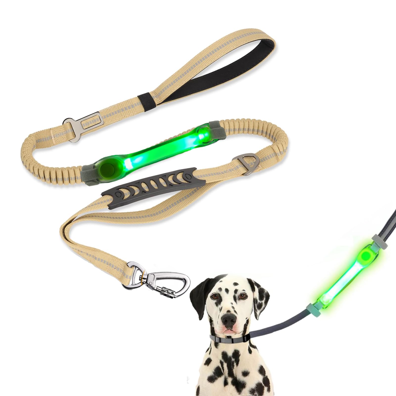 Shock Absorbing Dog Leash with Seat Belt Buckle