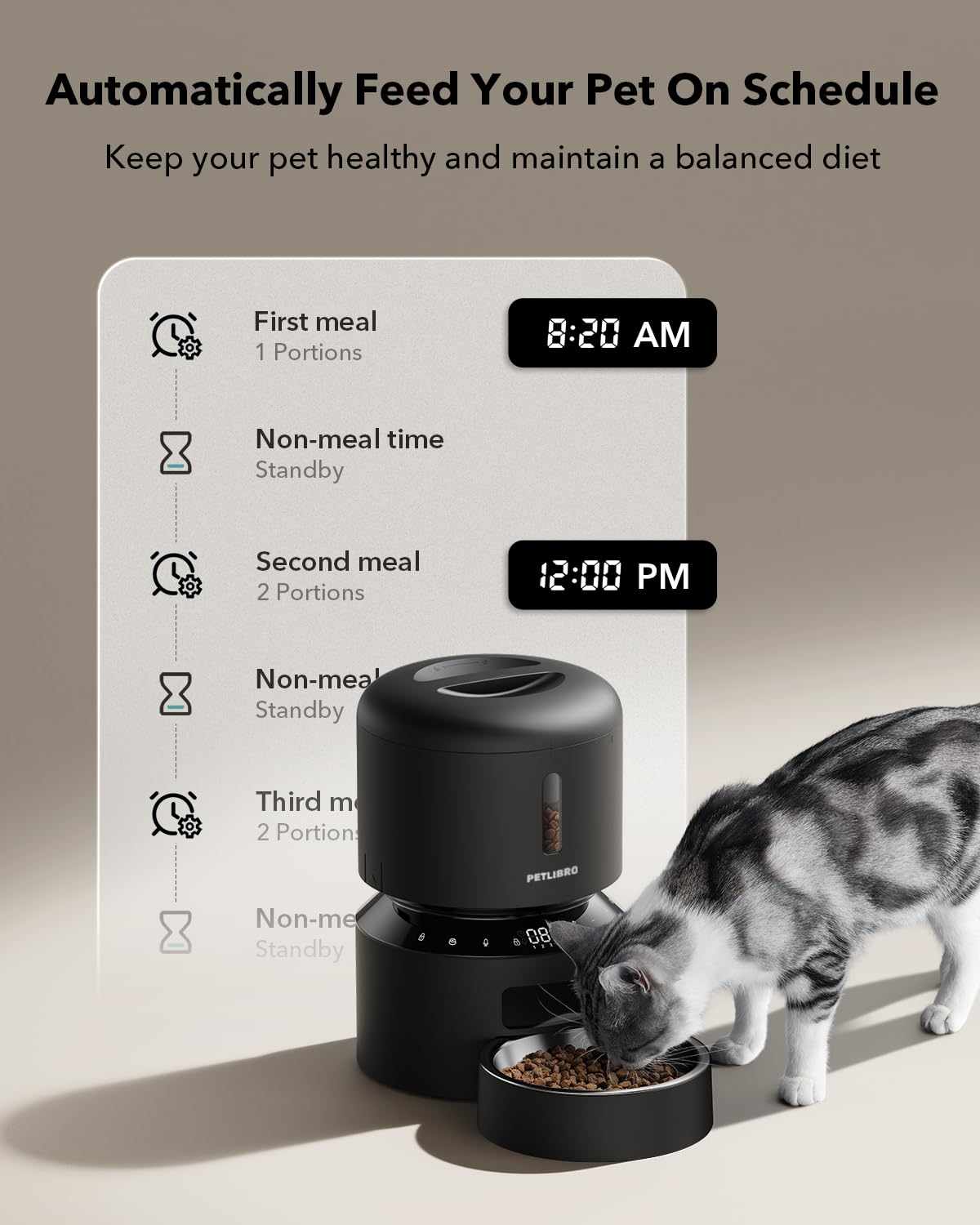Automatic Pet Food Dispenser