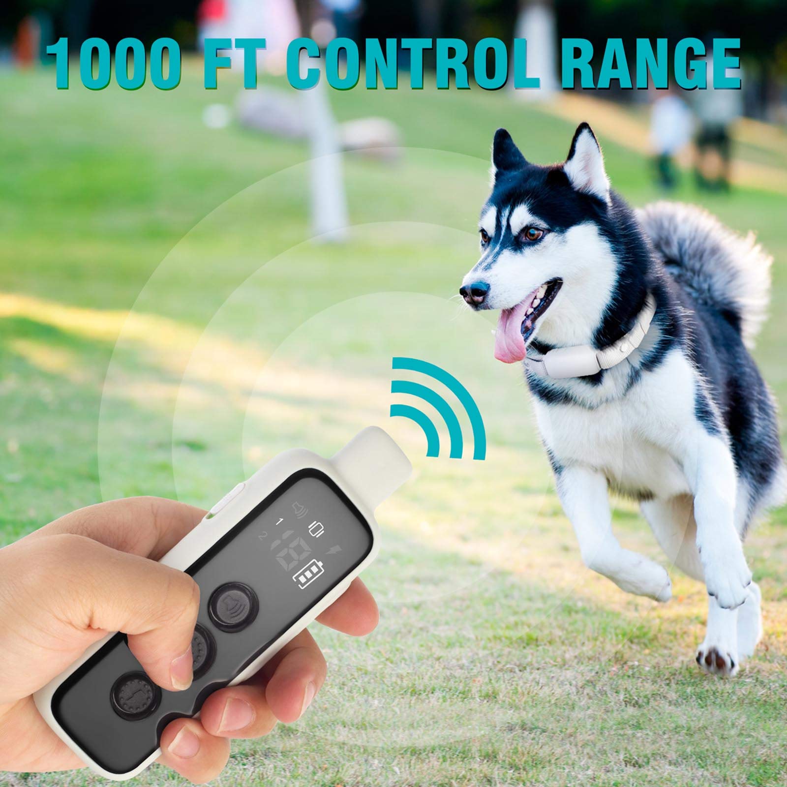 Remote Dog Training Collar for 2 Dogs