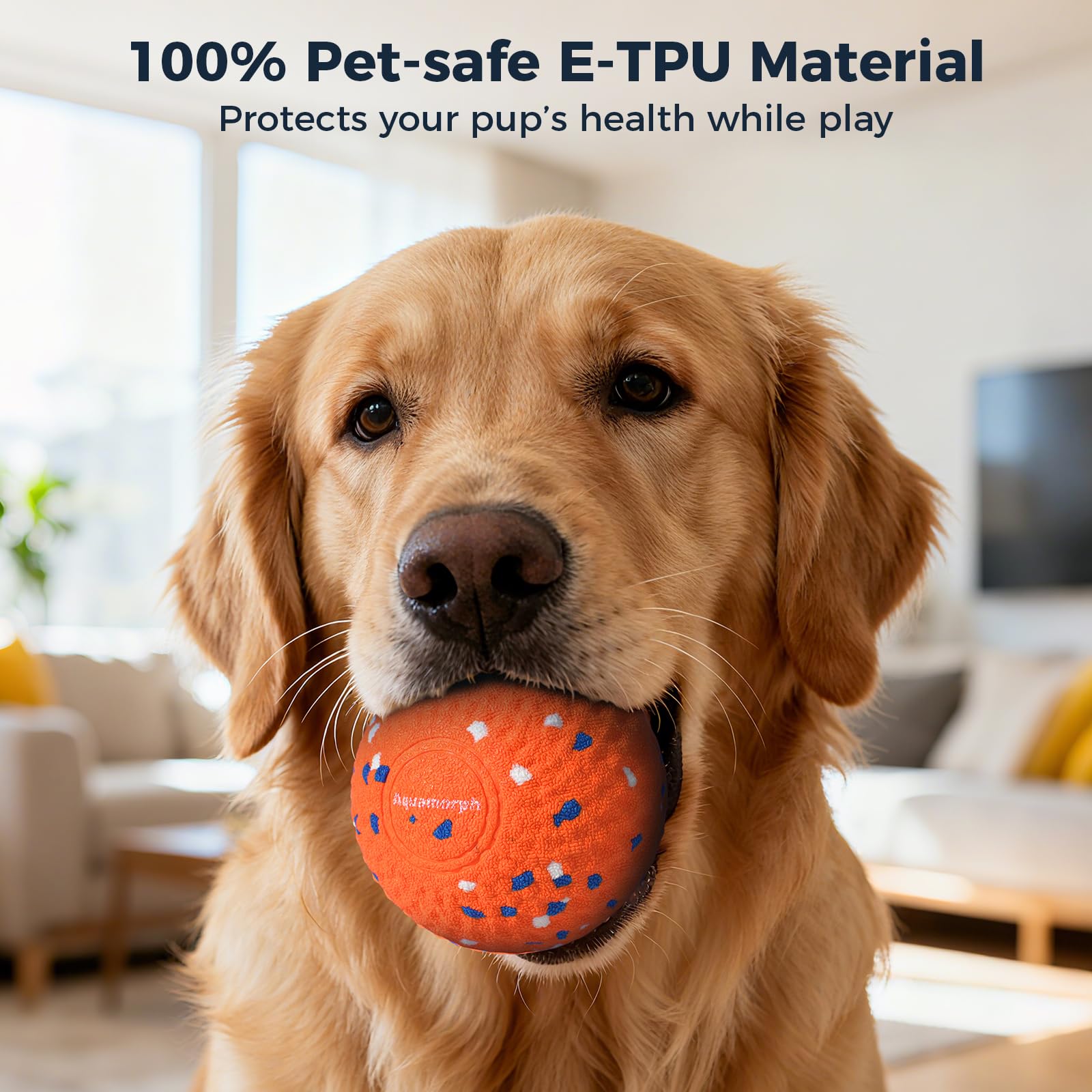 Interactive Automatic Dog Ball Set
