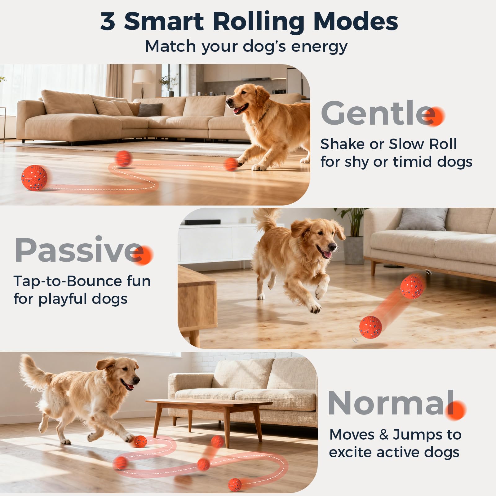 Interactive Automatic Dog Ball Set