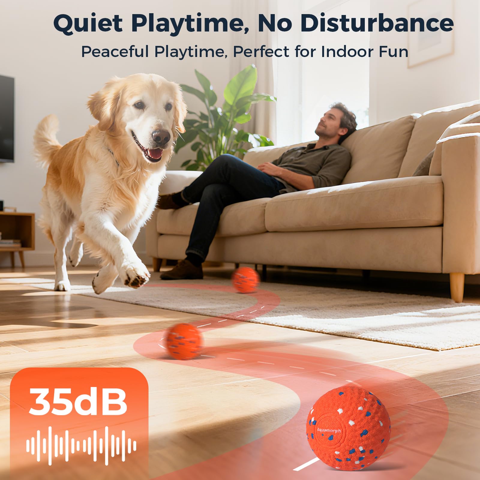 Interactive Automatic Dog Ball Set
