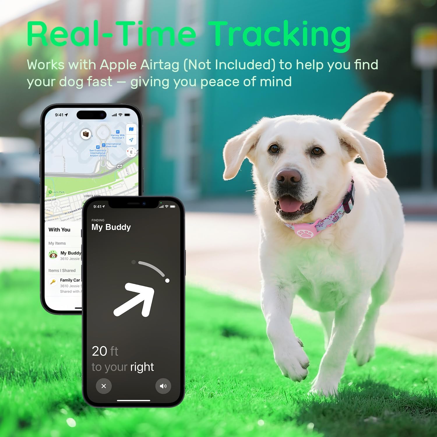 AirTag Dog Collar with Holder
