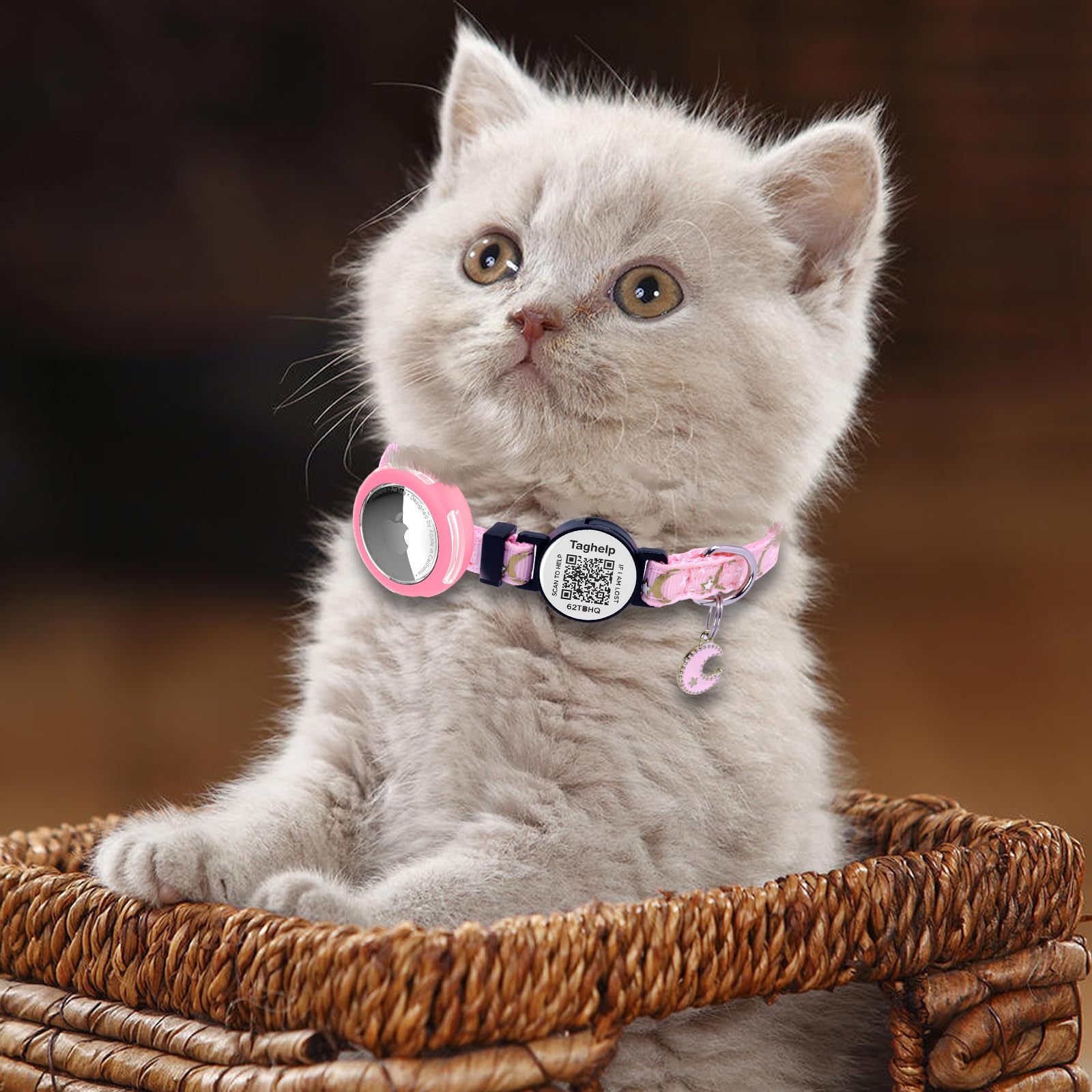 2-Pack AirTag Cat Collar with QR Tag