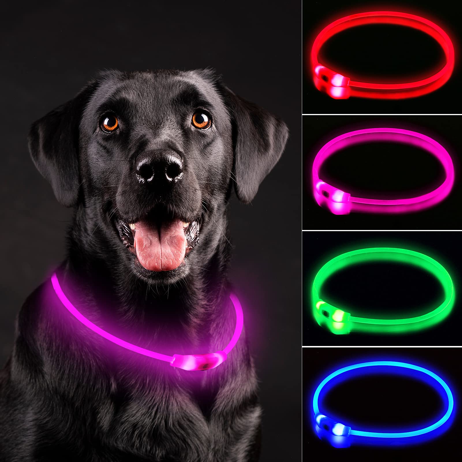 Rechargeable LED Dog Safety Collar