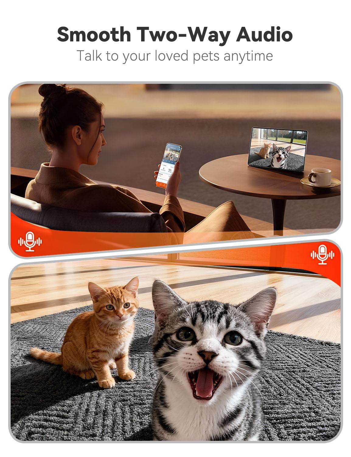 WOPET Automatic Cat and Dog Feeder