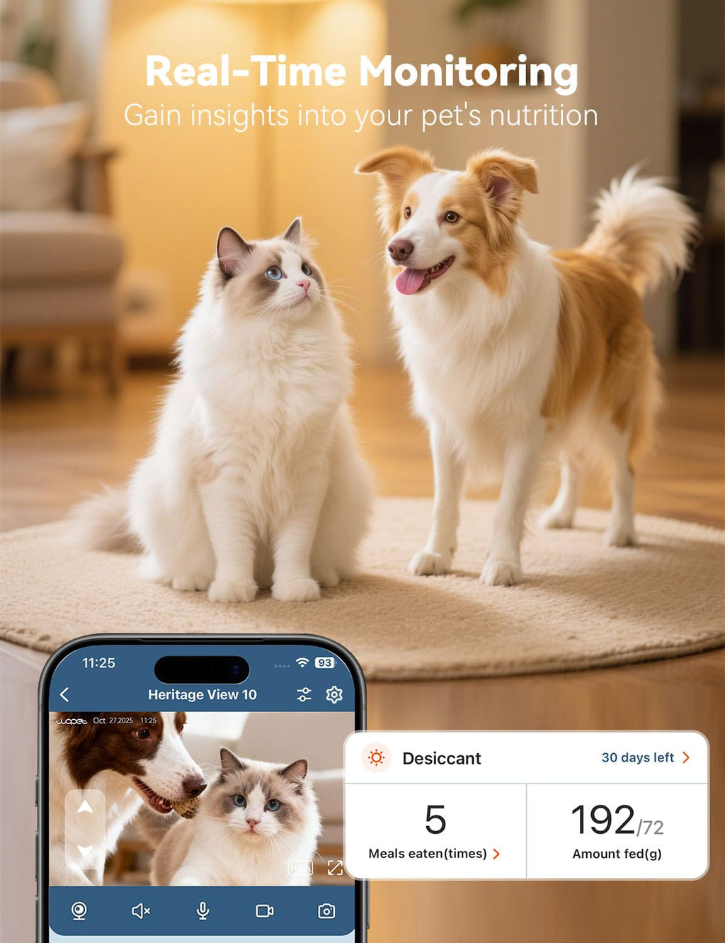 WOPET Automatic Cat and Dog Feeder