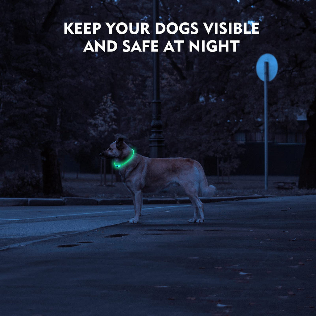 Rechargeable LED Dog Safety Collar