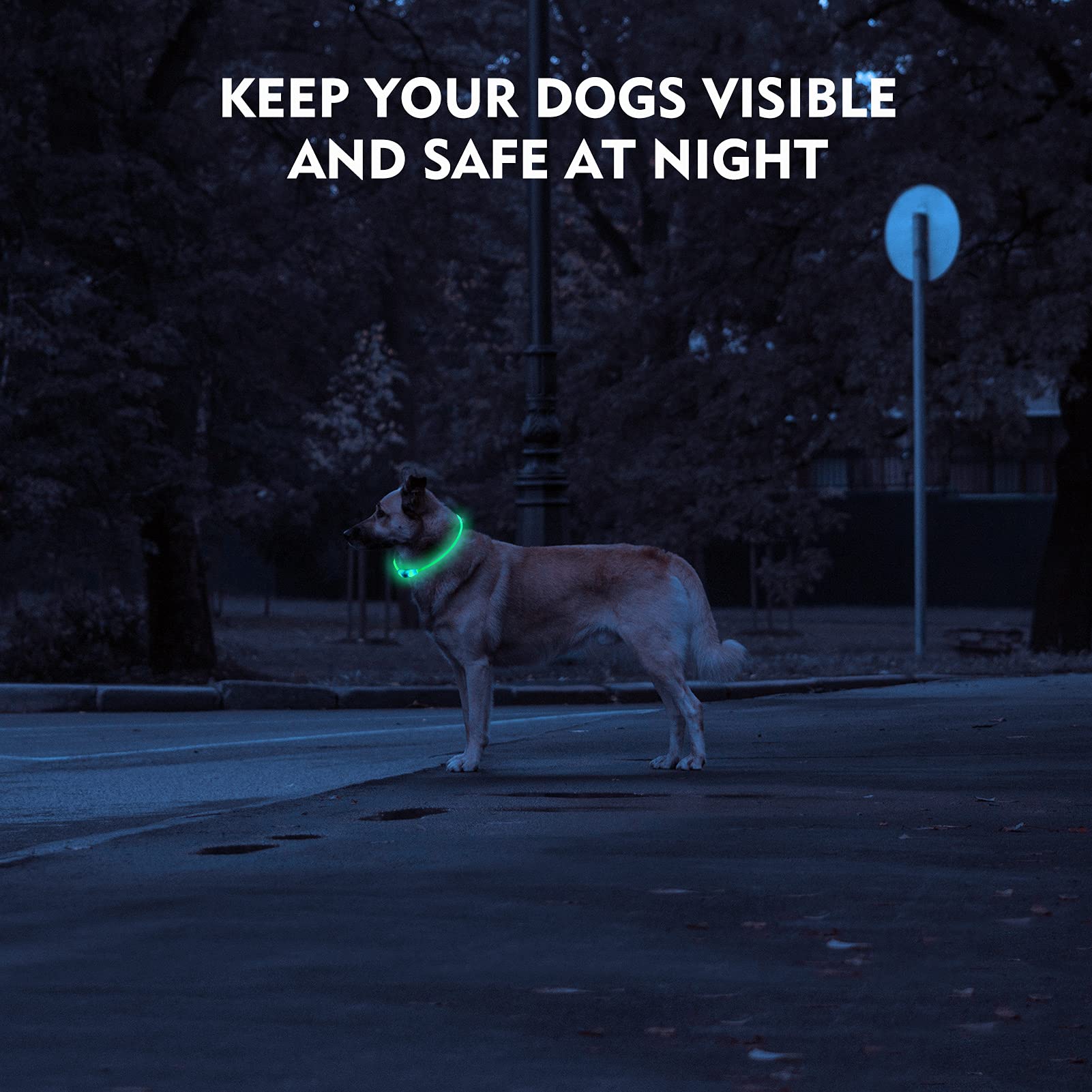 Rechargeable LED Dog Safety Collar