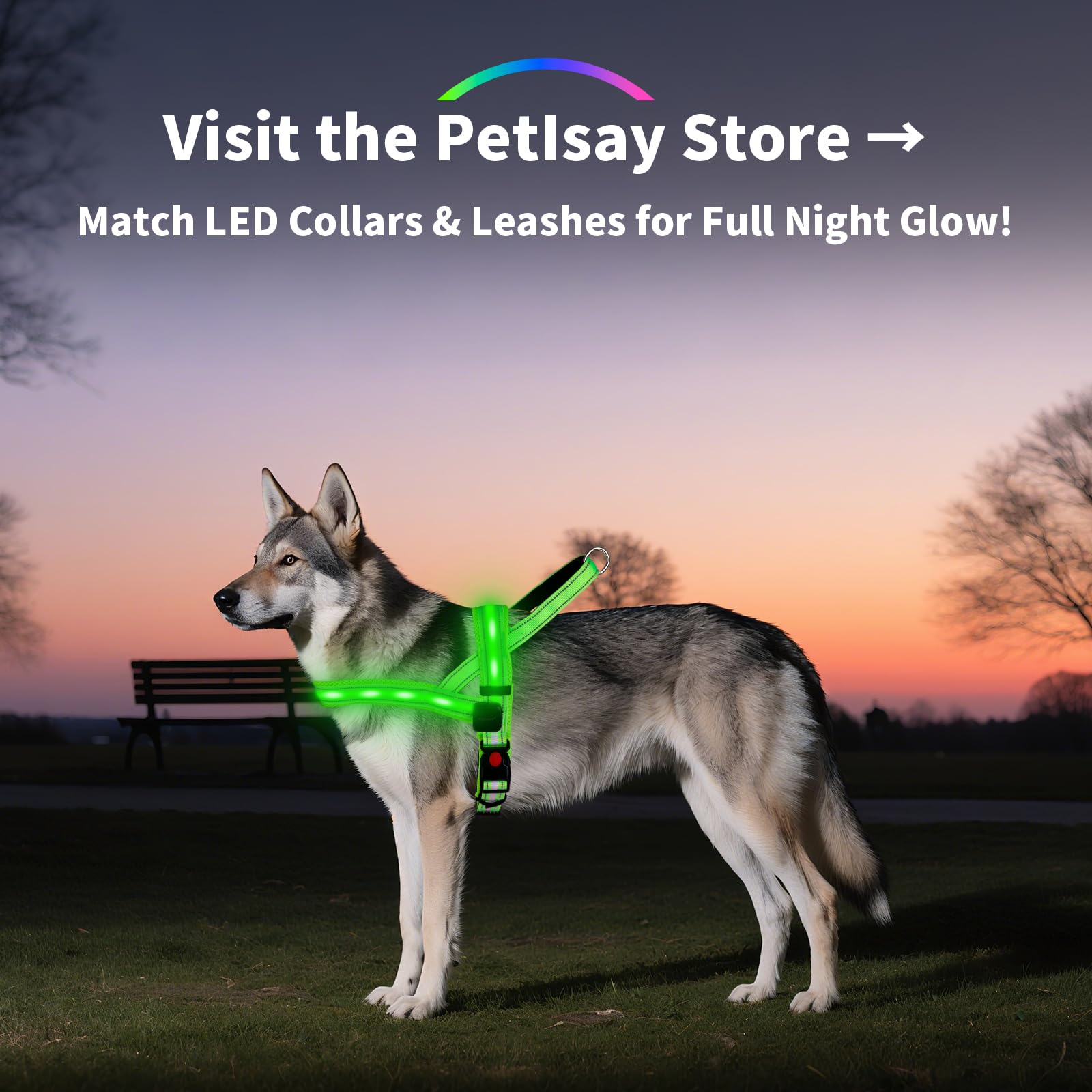 Rechargeable LED Reflective Dog Harness