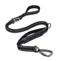 Shock Absorbing Dog Leash with Seat Belt Buckle