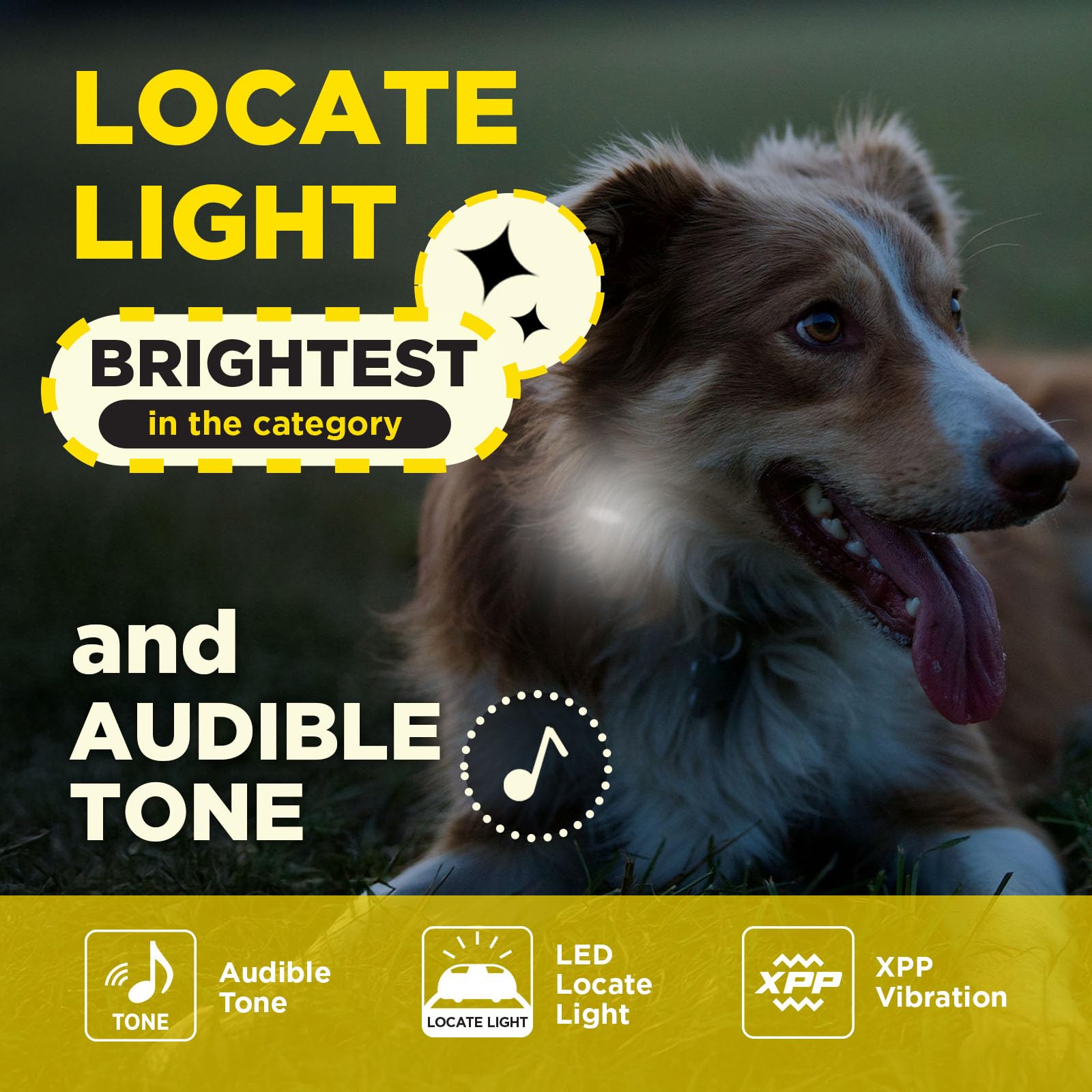 Remote Dog Training Collar 1/2 Mile Range