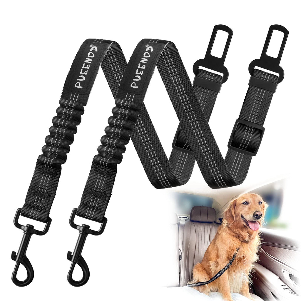 Dog Selt Belt