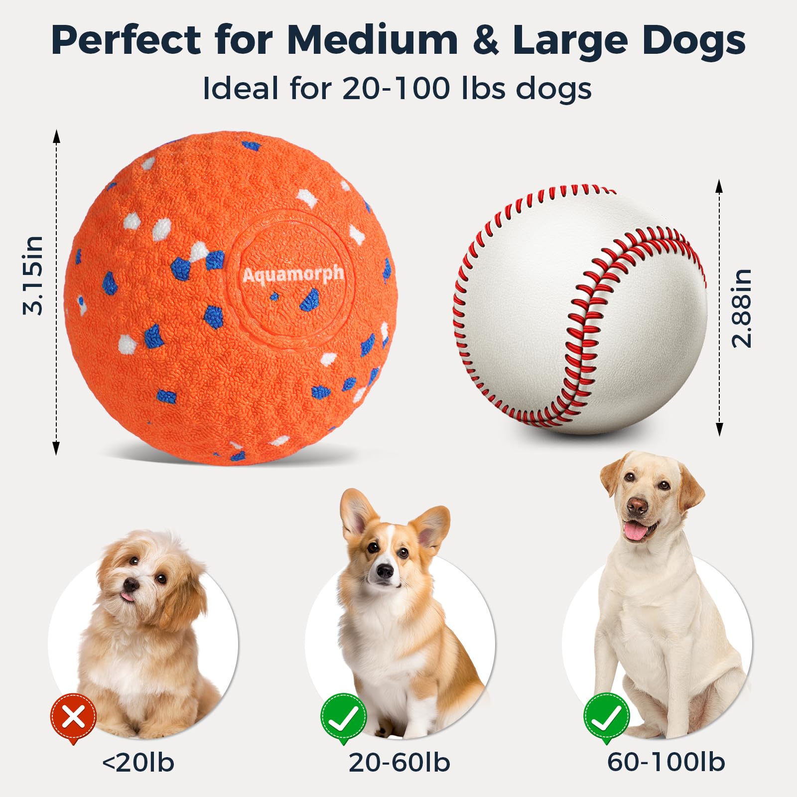 Interactive Automatic Dog Ball Set
