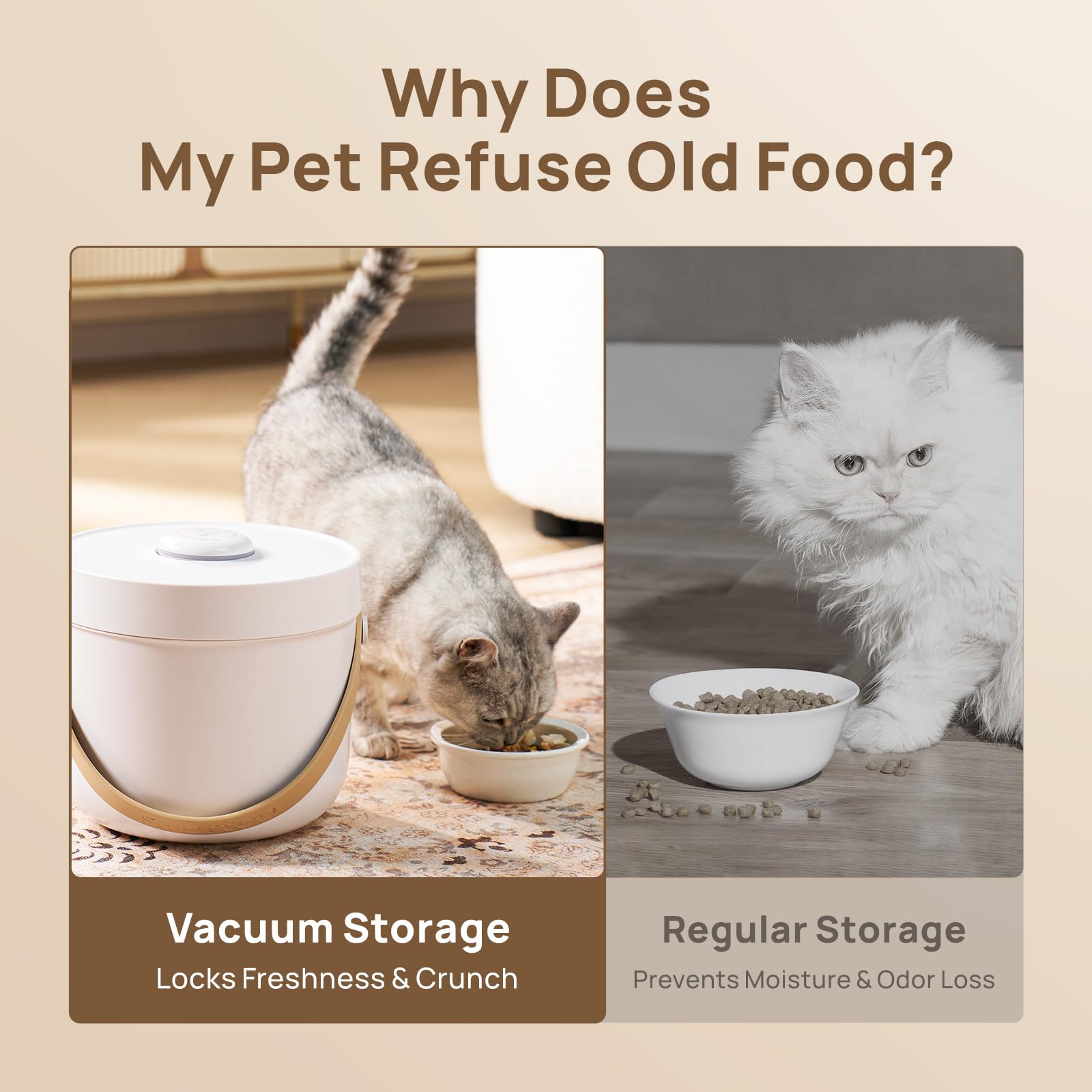 Vacuum Pet Food Storage Container