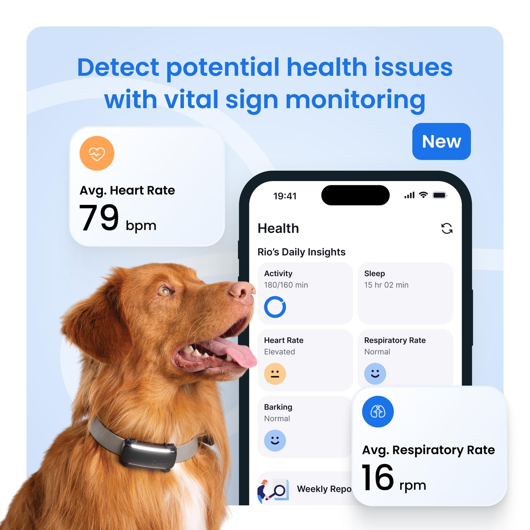 Smart GPS Dog Tracker