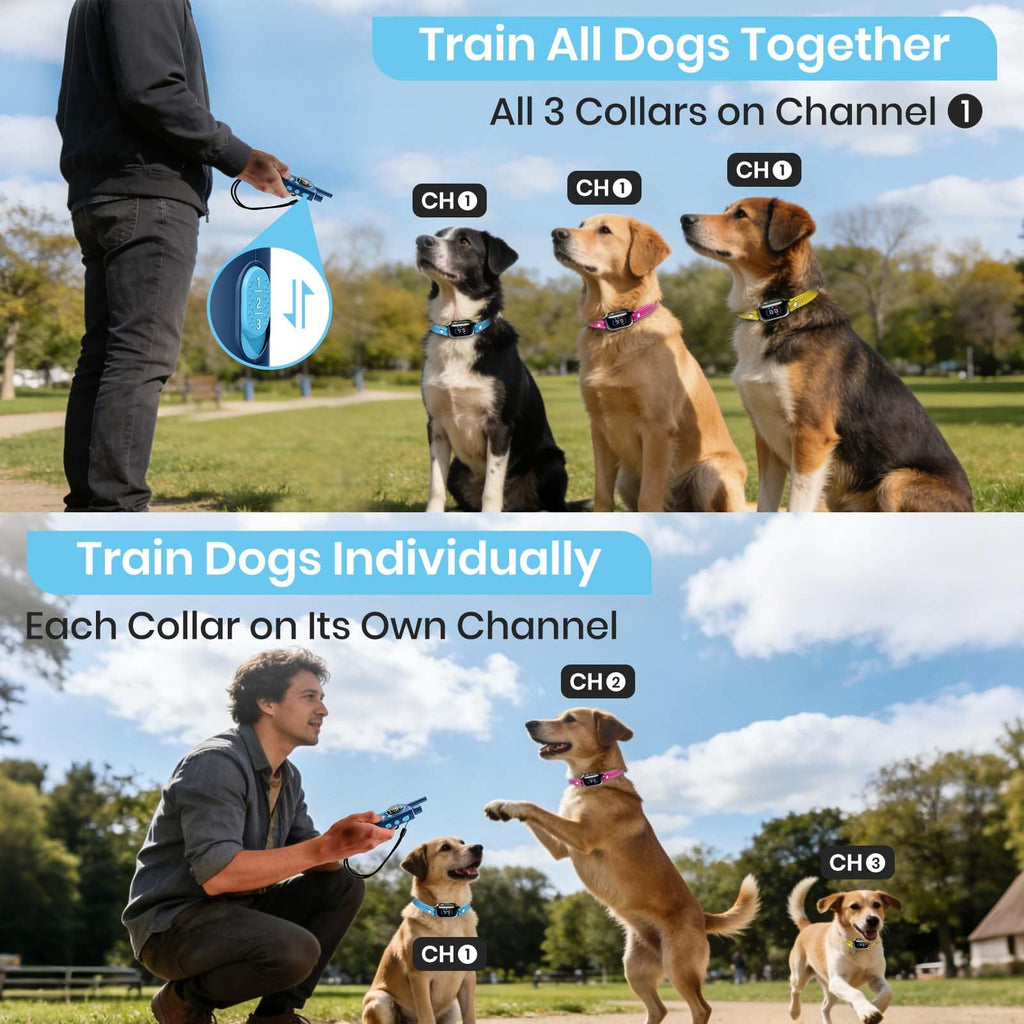 Remote Dog Training Collar for 3 Dogs
