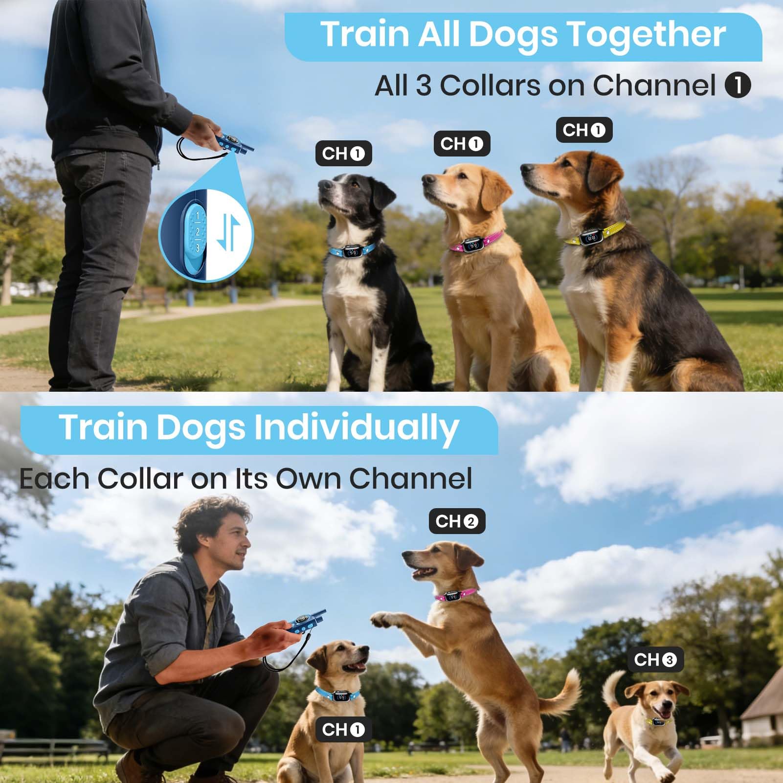 Remote Dog Training Collar for 3 Dogs