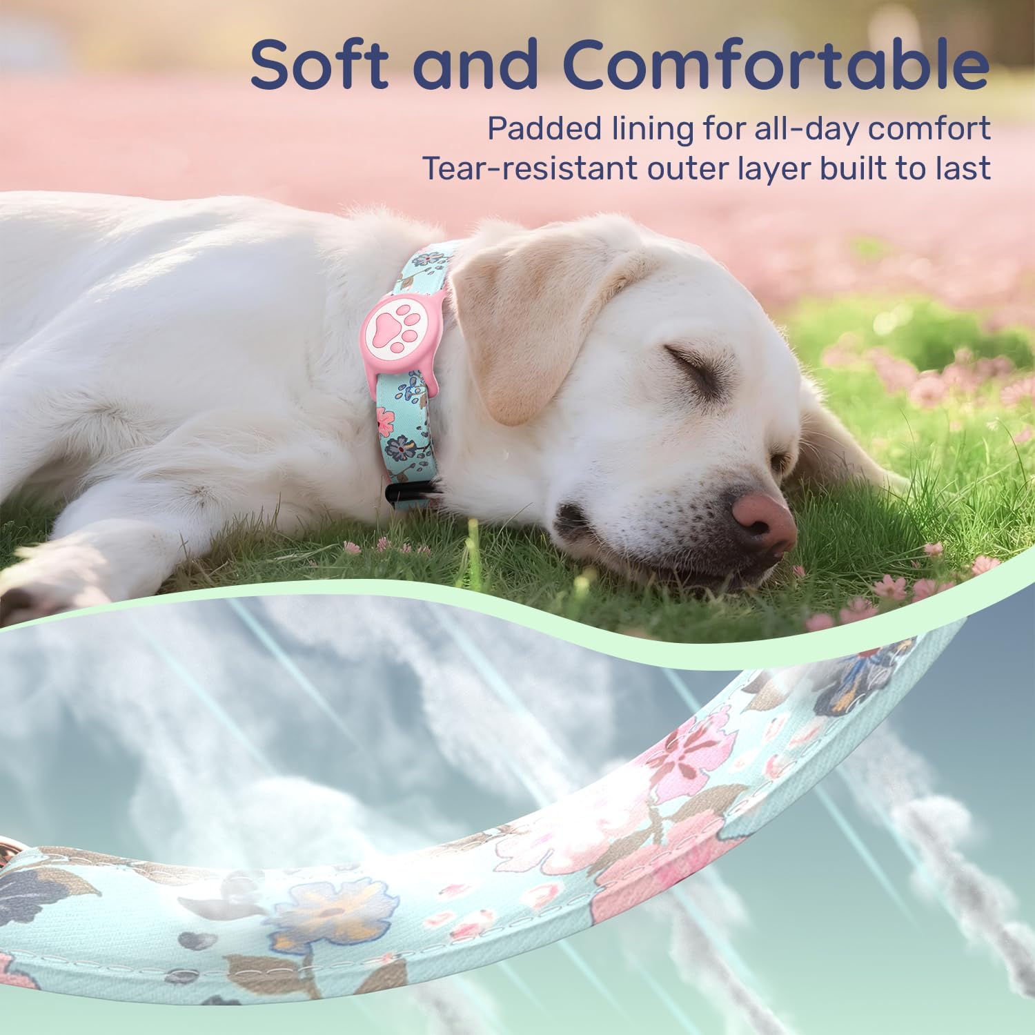 AirTag Dog Collar with Holder