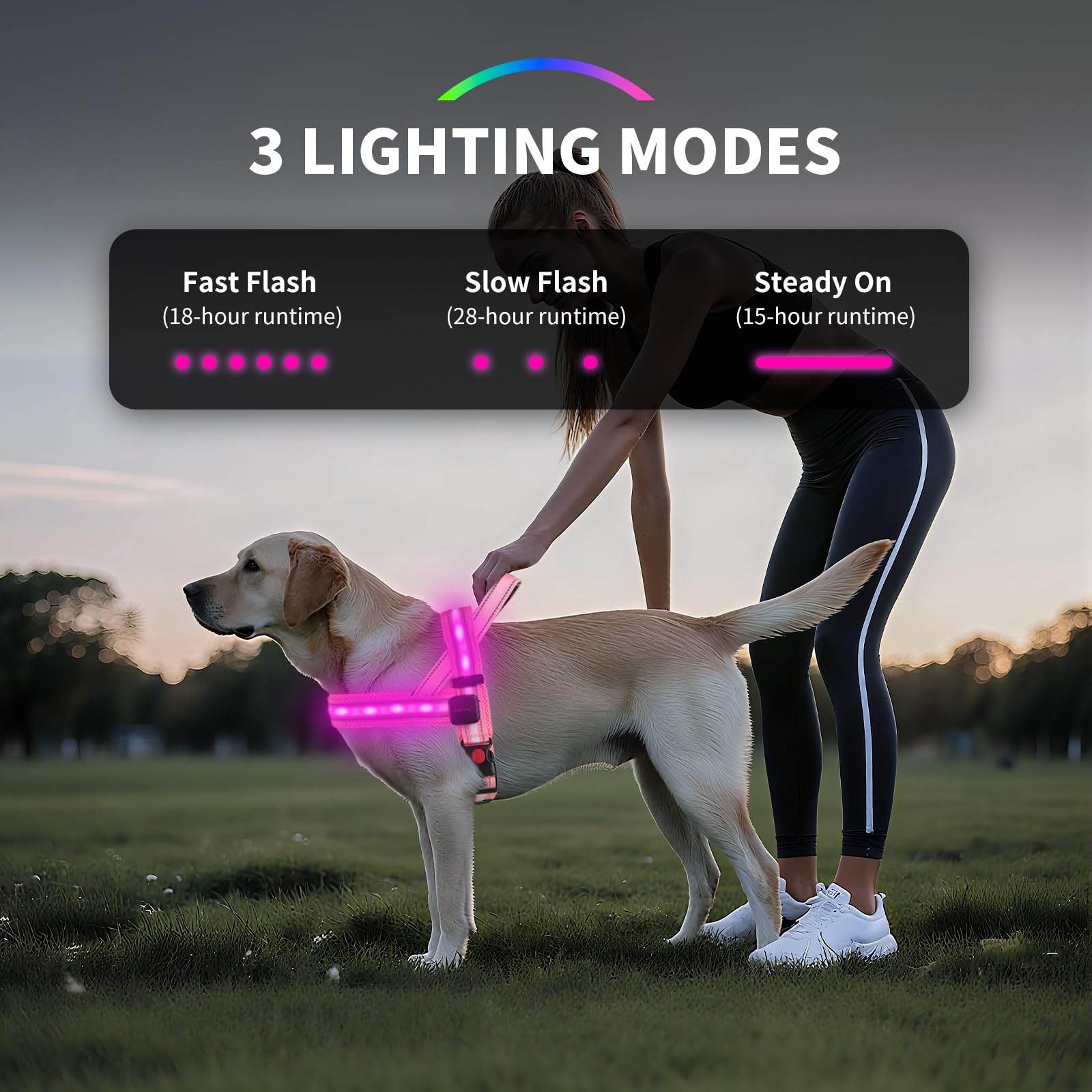 Rechargeable LED Reflective Dog Harness