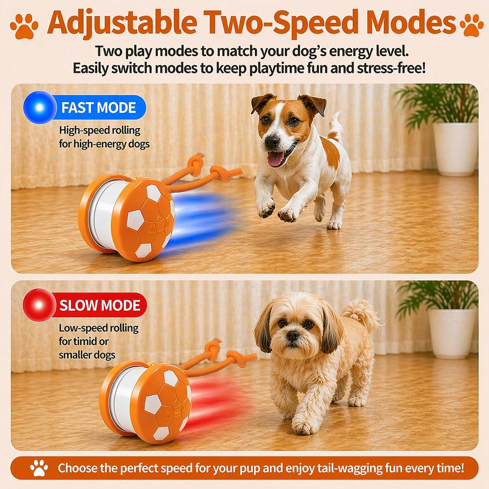 Interactive Automatic Dog Ball Toy