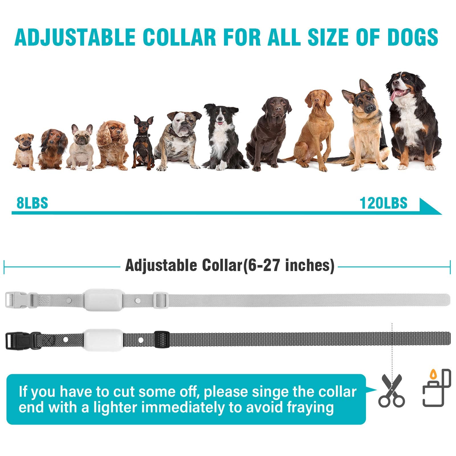 Remote Dog Training Collar for 2 Dogs