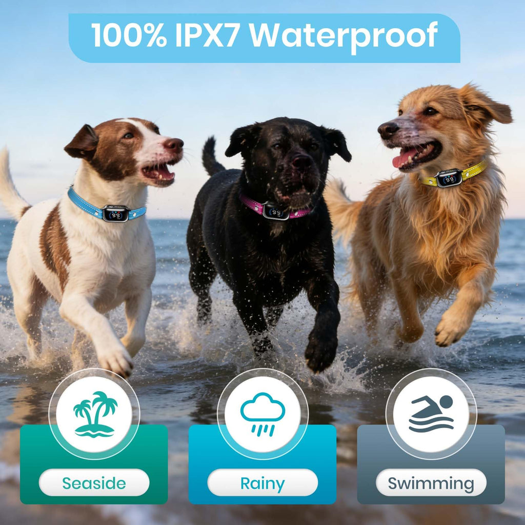 Remote Dog Training Collar for 3 Dogs