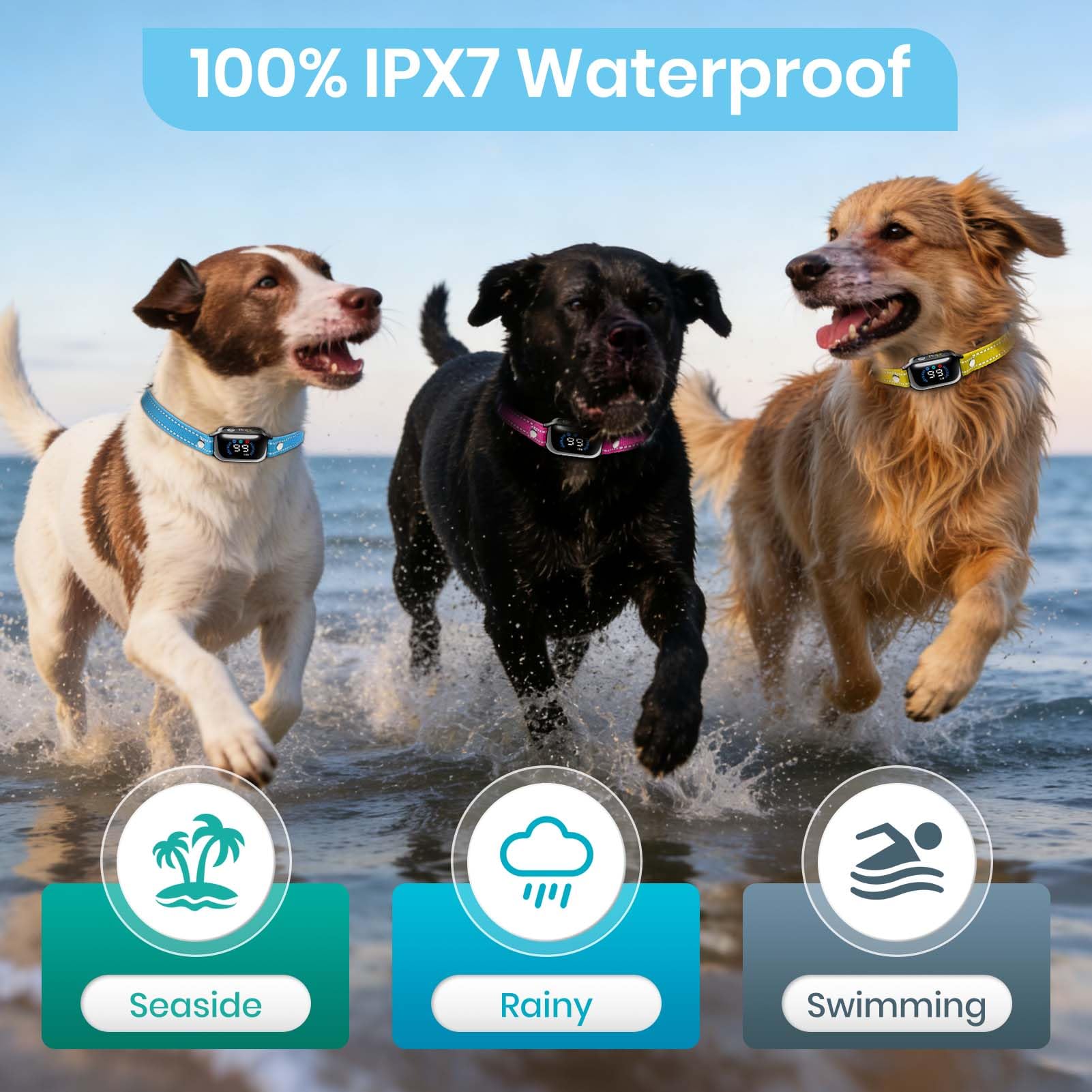 Remote Dog Training Collar for 3 Dogs