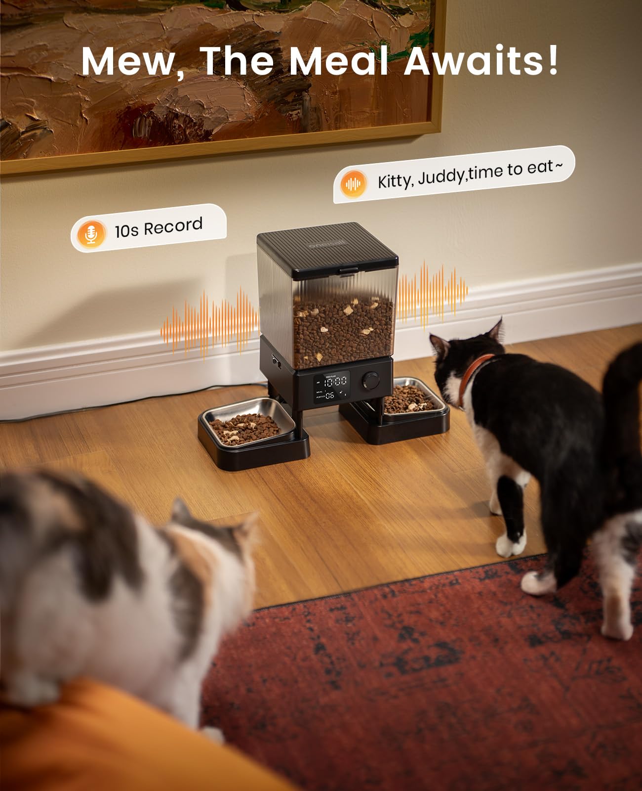 Automatic Pet Feeder for 2 Pets 5L