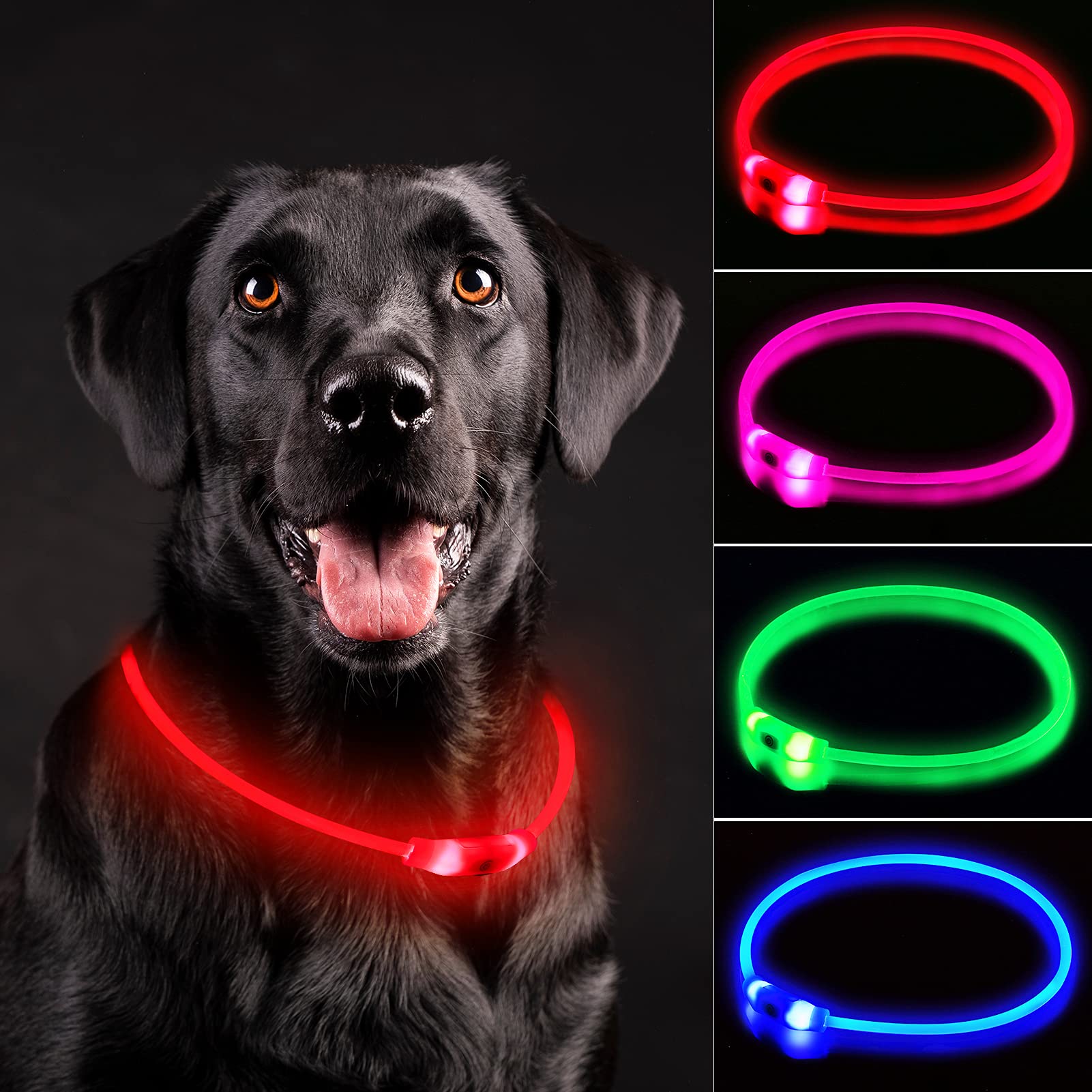 Rechargeable LED Dog Safety Collar