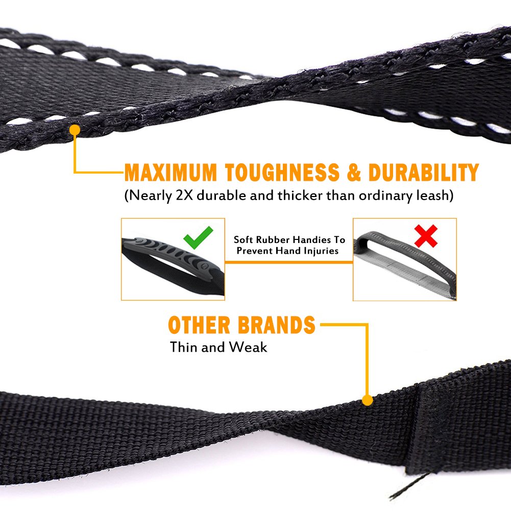 Shock Absorbing Dog Leash with Seat Belt Buckle