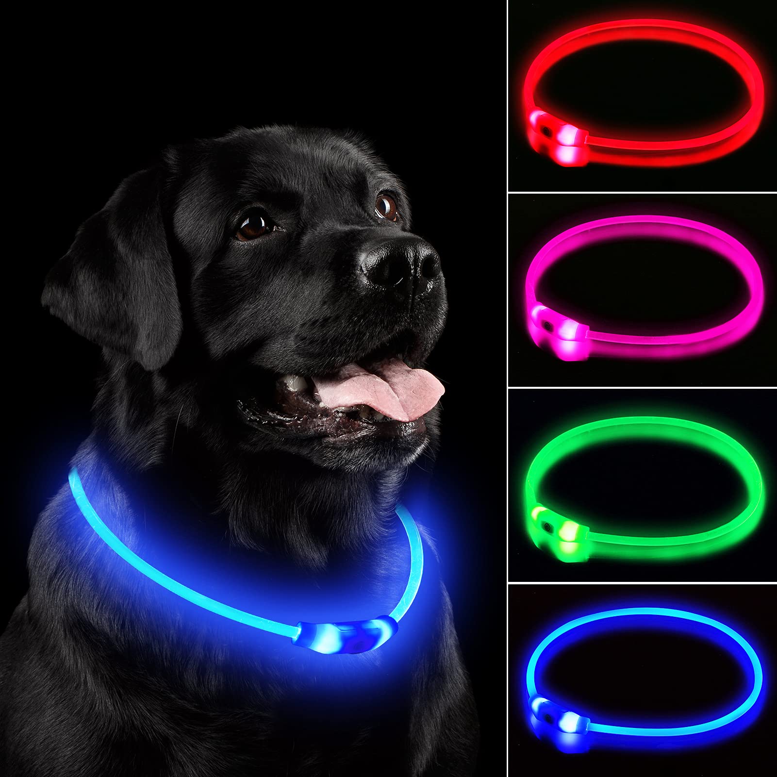 Rechargeable LED Dog Safety Collar