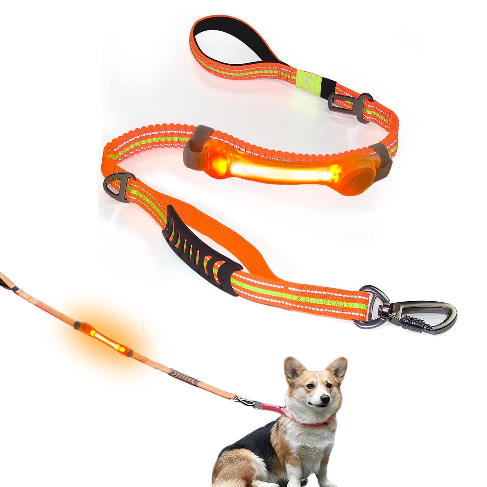 Shock Absorbing Dog Leash with Seat Belt Buckle