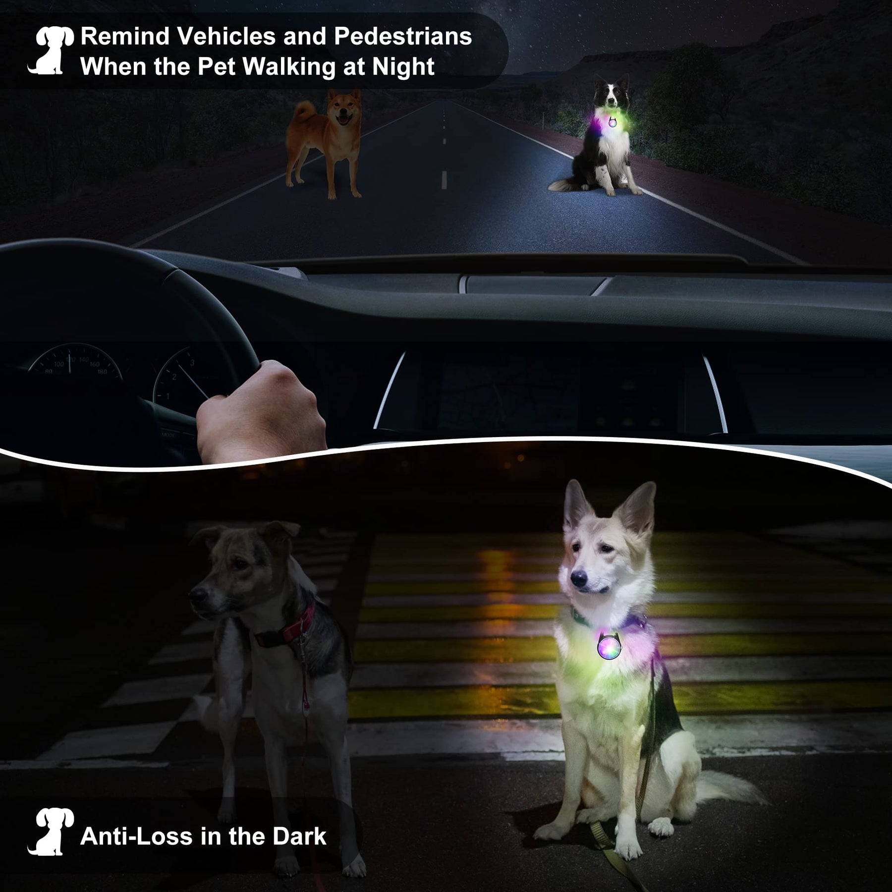 2 Pack Dog Lights for Night Walking