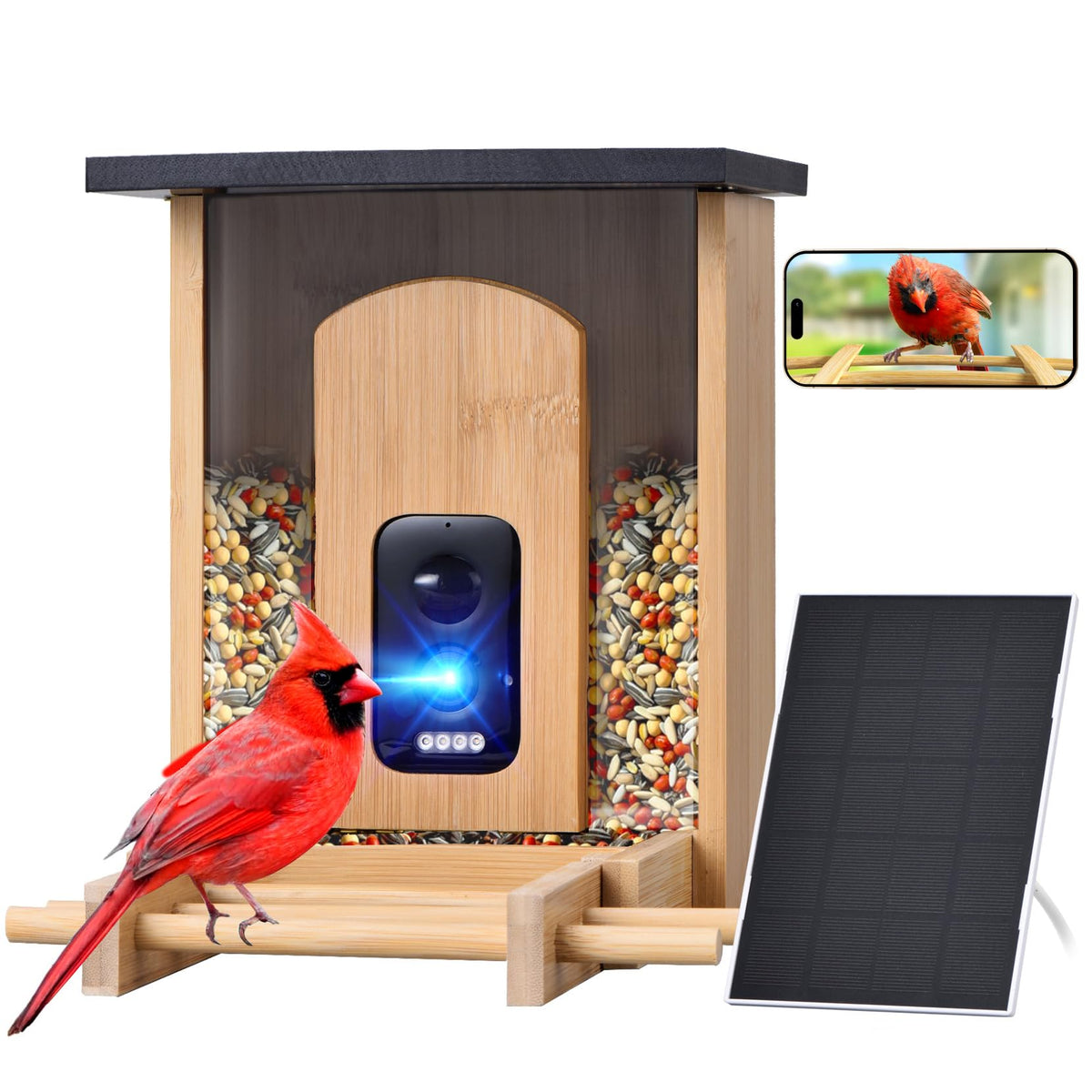 Smart Bird Feeder with Camera
