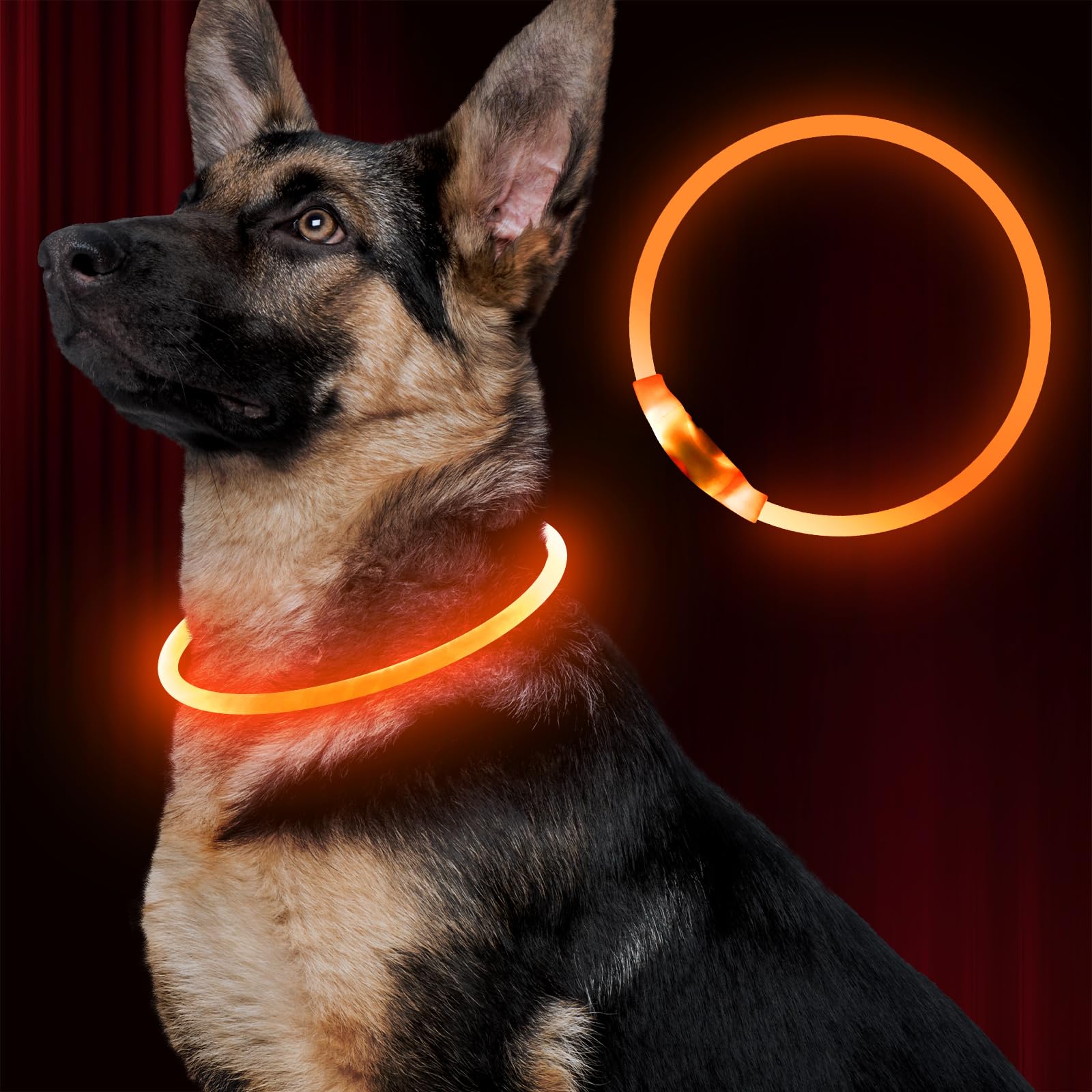 Rechargeable LED Dog Safety Collar