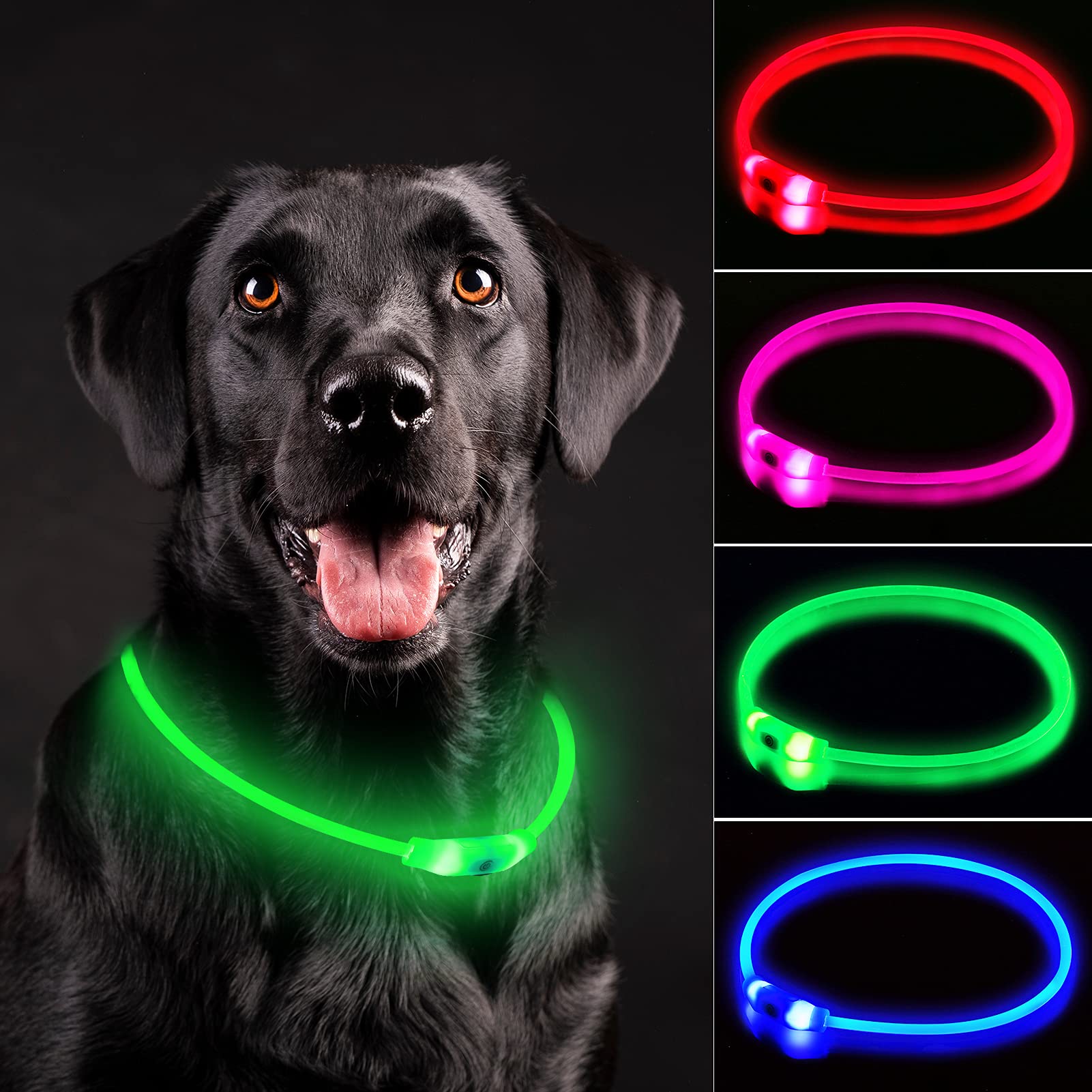 Rechargeable LED Dog Safety Collar