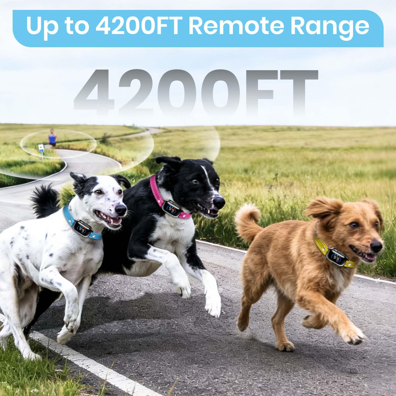 Remote Dog Training Collar for 3 Dogs